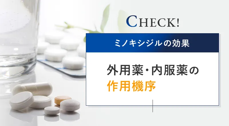 ミノキシジルの内服薬・外用薬の効果のメカニズム