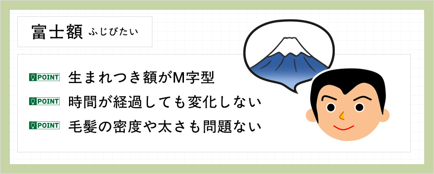 富士額とは特徴まとめ