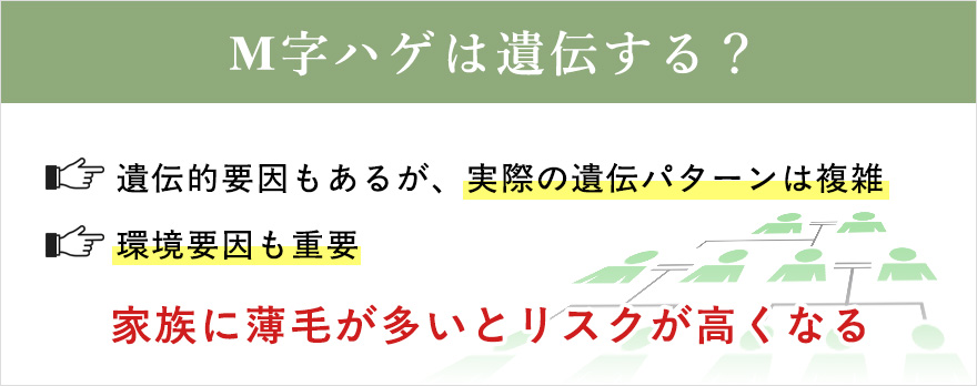 M字ハゲの遺伝についてまとめ