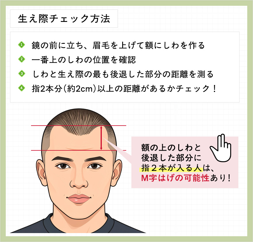 生え際チェック方法の図説
