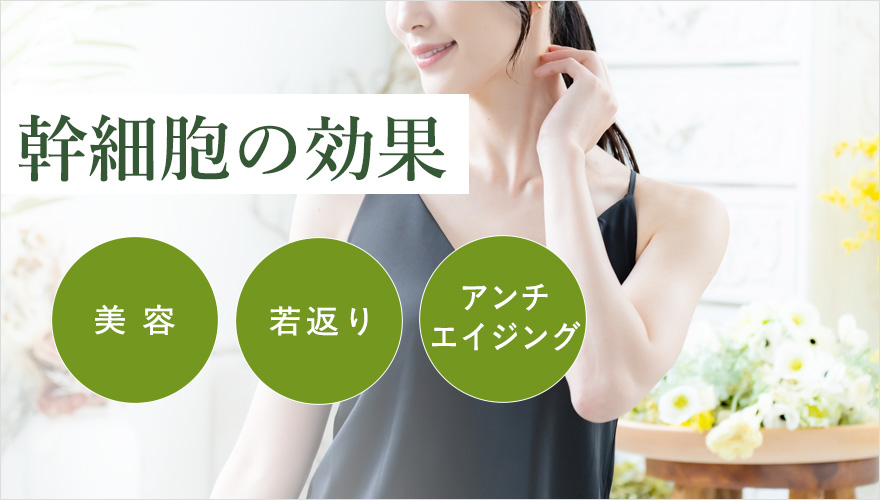 幹細胞の美容効果について