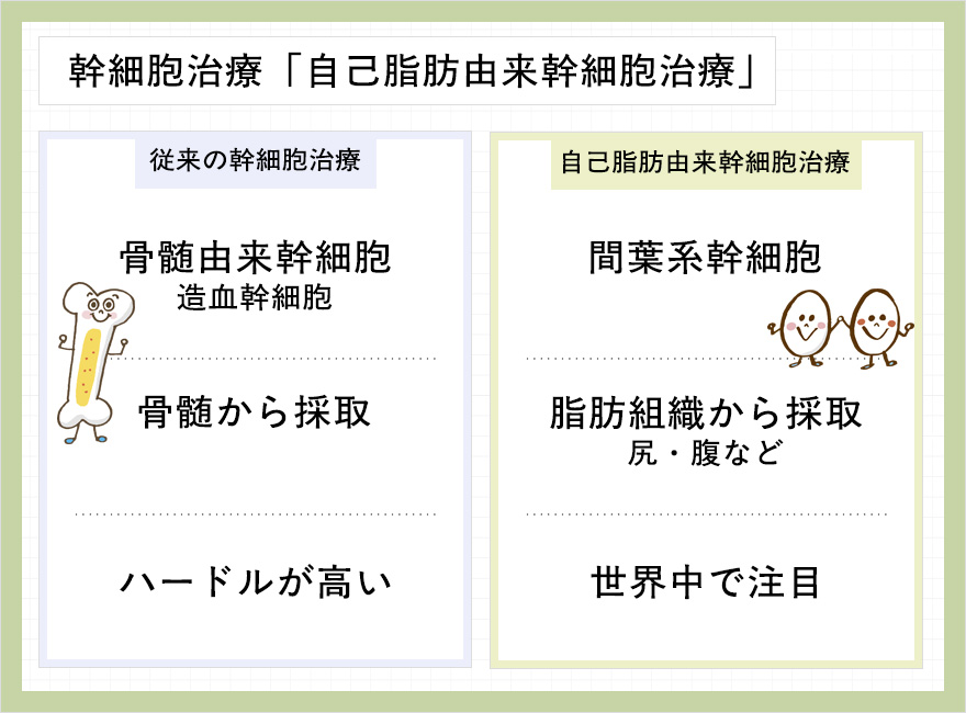 従来の幹細胞治療と自己脂肪由来幹細胞治療の特徴まとめ